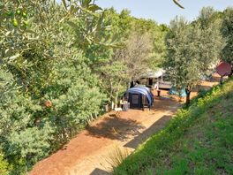Quiet pitches surrounded by trees