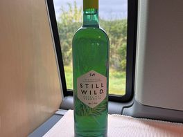 Still wild vermouth