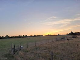 Amazing sunsets
