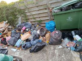 Bin area