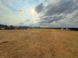 Another great view