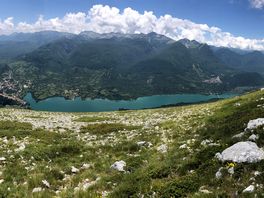 Pano