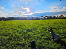 Enjoying the quiet field to self