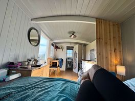 Inside fox den