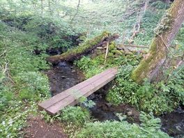 Nice walk just outside of the campsite