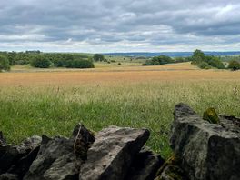 View from the campsite’s campervan pitches.