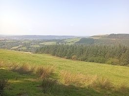 View from our pitch