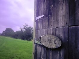 Fun toilets