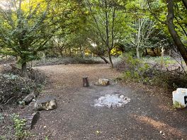 One of the woodland sites