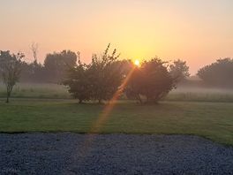 Early morning