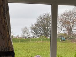 View from the lounge