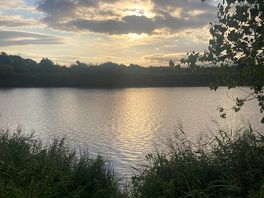 View from the tent