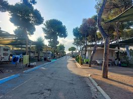 Pitches for caravans and motorhomes.