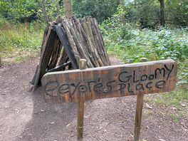 100 aker wood.