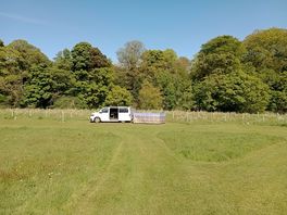 Grass pitch