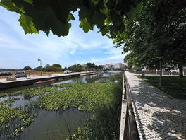 Some views on the lagoon
