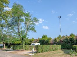 Grass pitch