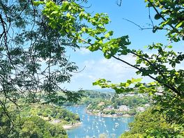 Noss mayo