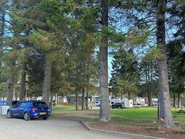 View from the reception onto the park/site