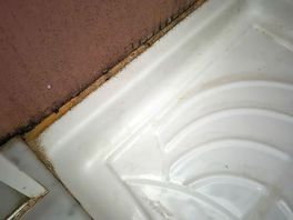 Mouldy shower trays