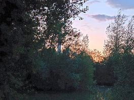 Sunset view