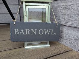 Our barn owl pod for the weekend