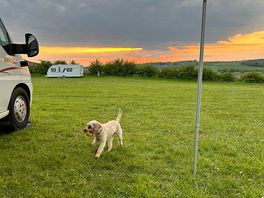 Someone throw the ball !