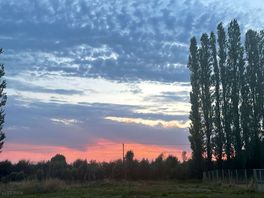Beautiful sunset