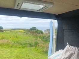 Lush view