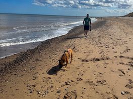 Charlie and rosie enjoying freedom on the beach