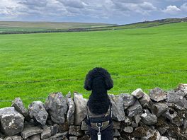 Lenny admiring the views