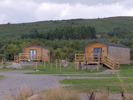 The Hen Harrier and the Buzzard from on site