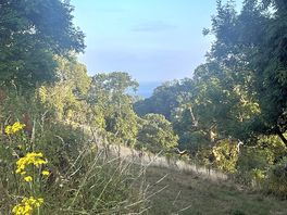 A pretty view just around the corner from our tent