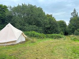Tawny owl yurt