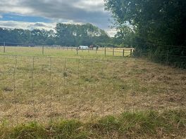 View of pig field