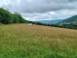 My neighbours camping in the field