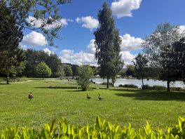 Lakeside view