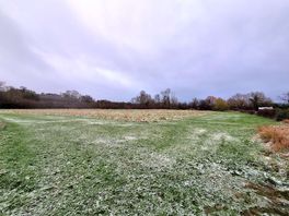 Enclosed dog field