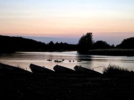 Lake at dust -bat watching