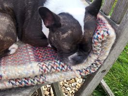 Loving the peace