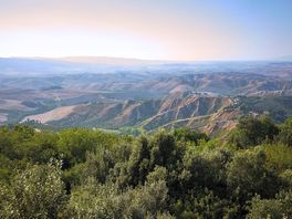 Vista