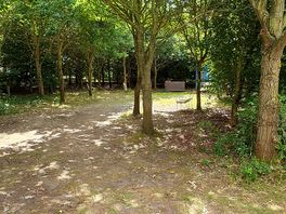 Around camp