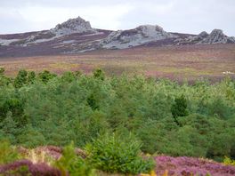 The devils chair in the stiperstones