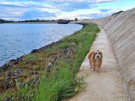 Wandeling vanuit de camping
