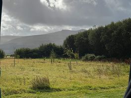 View from site