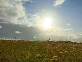 A little snapshot of the field beyond the top gates.