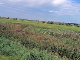 Townsend path walk lovely
