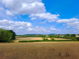 Views on a walk.