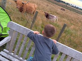 Friendly neighbours