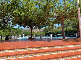 Terrace by pool and bar